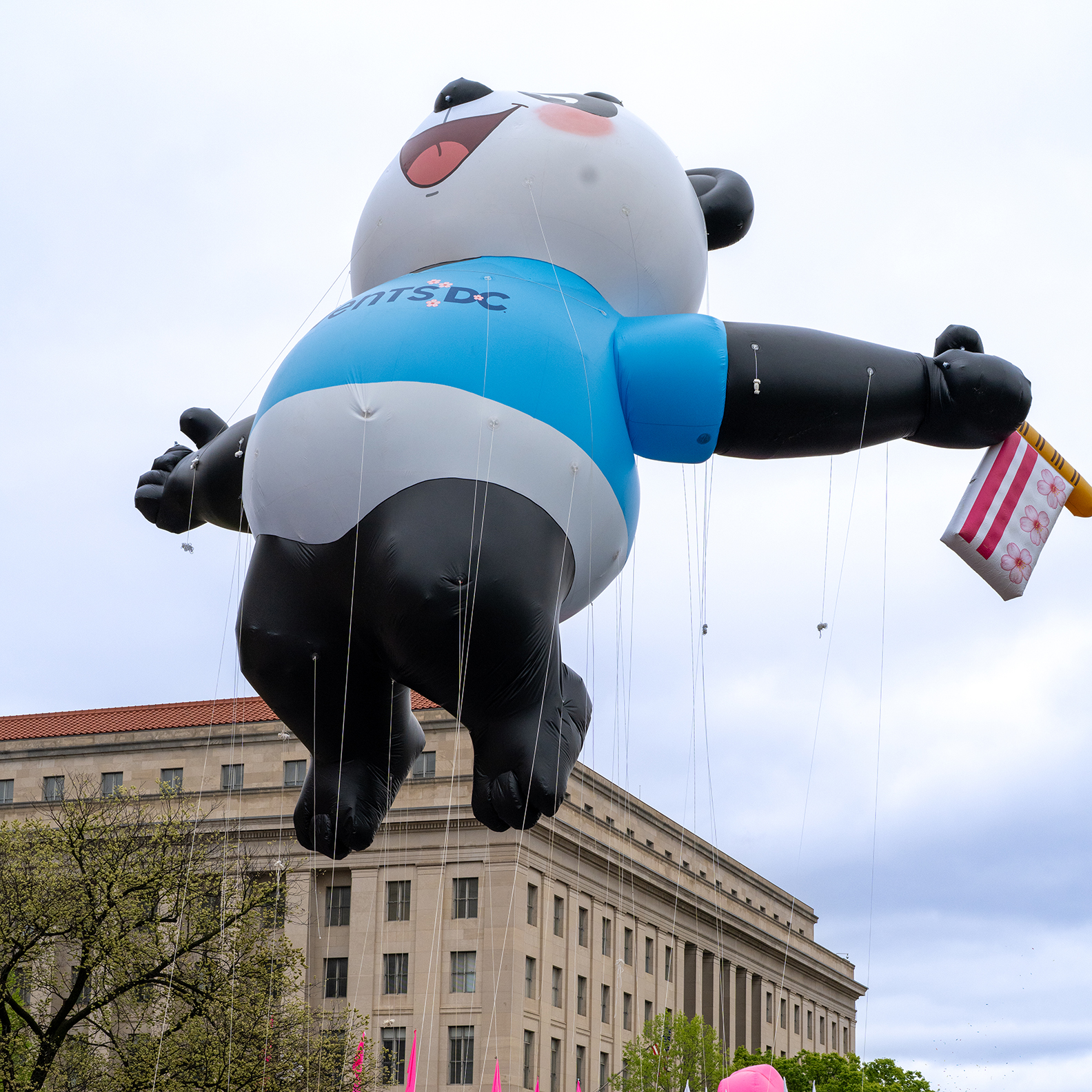 Panda Balloon