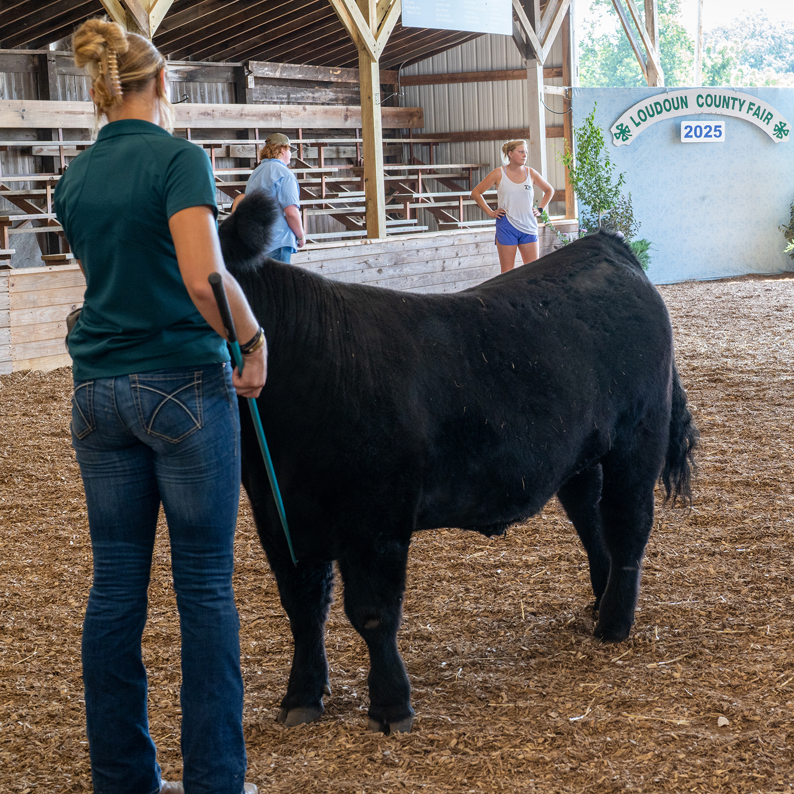 Loudoun County Fair 2025