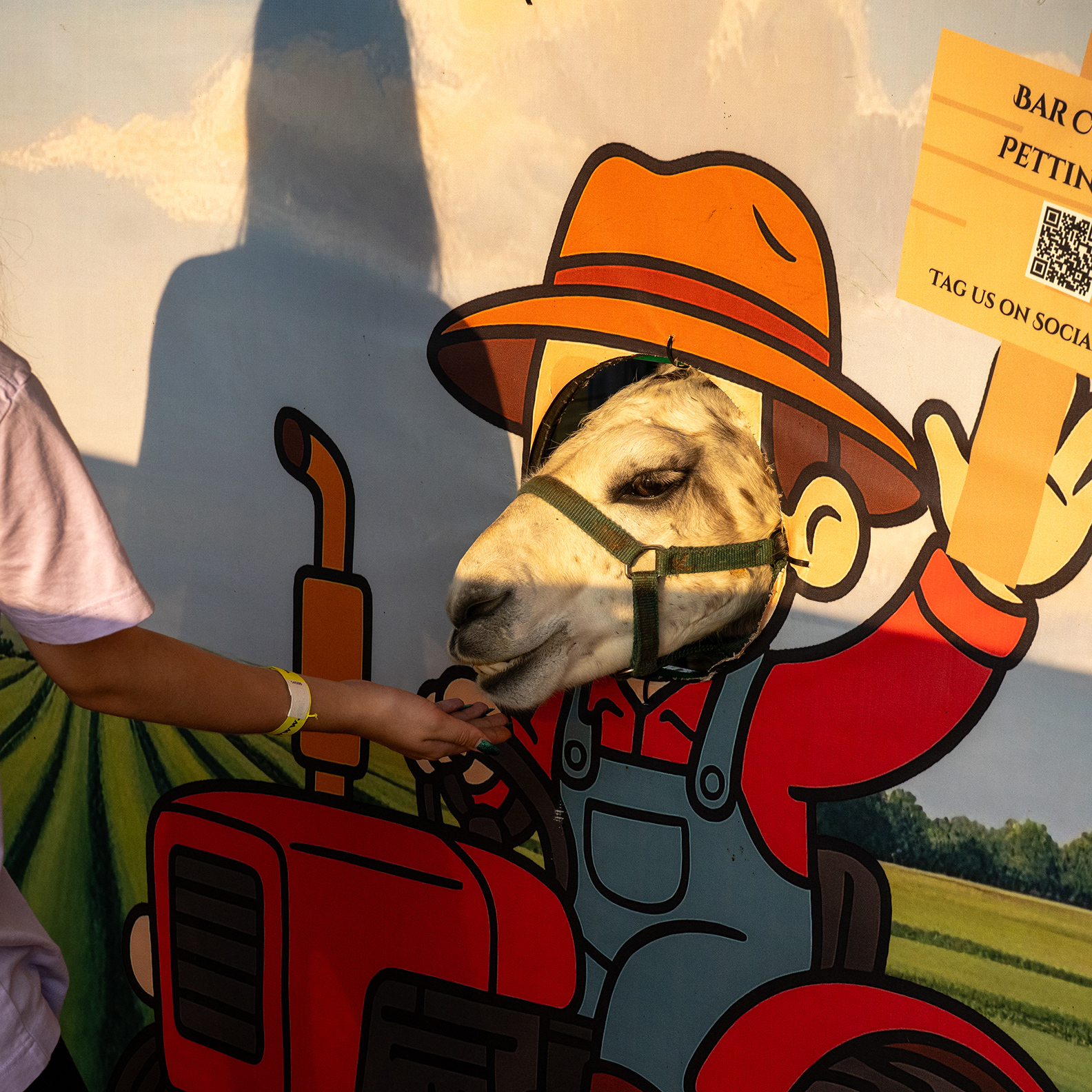 Loudoun County Fair 2025