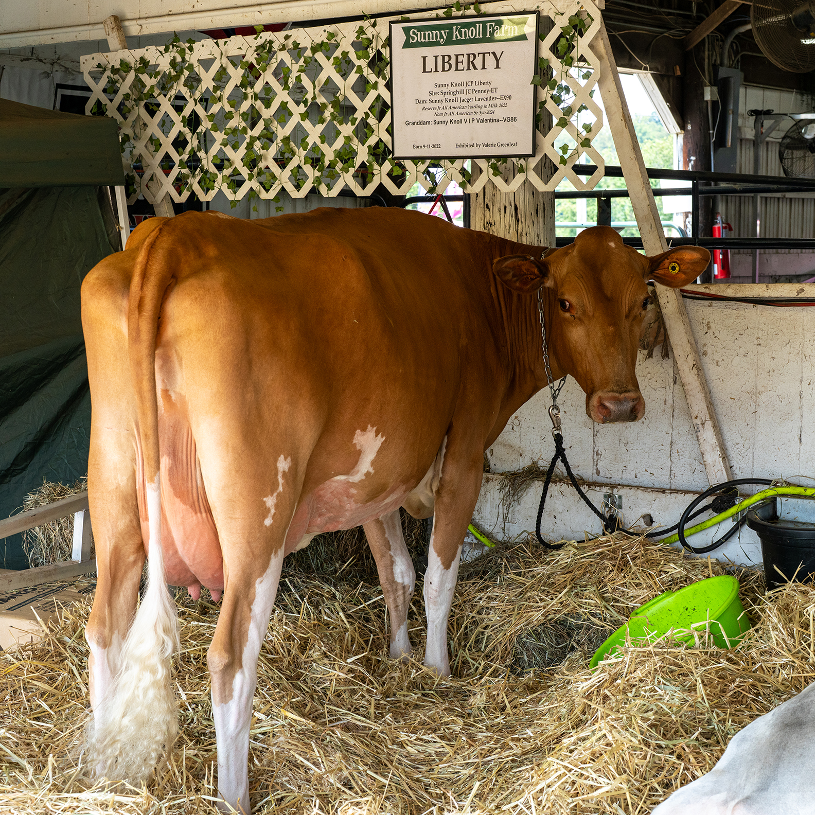 Loudoun County Fair 2025