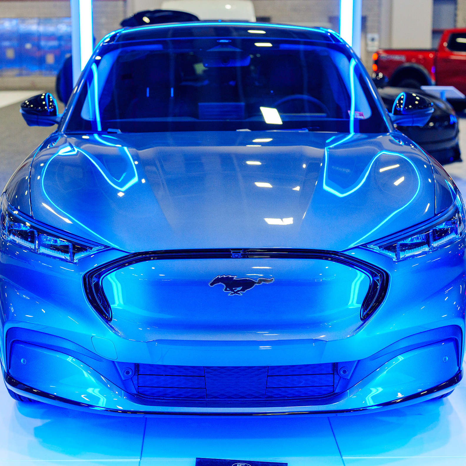 Blue Mustang