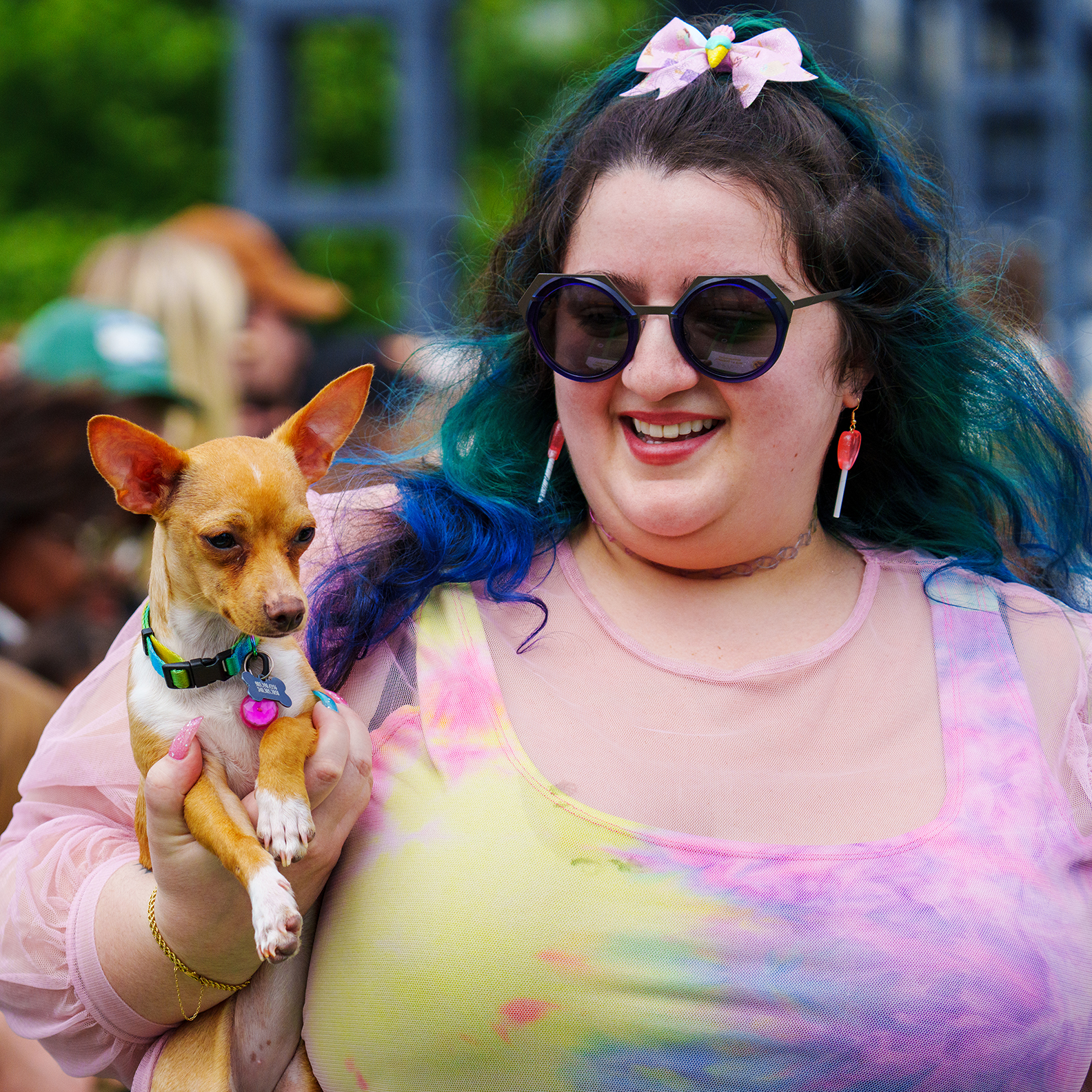 Running of the Chihuahuas