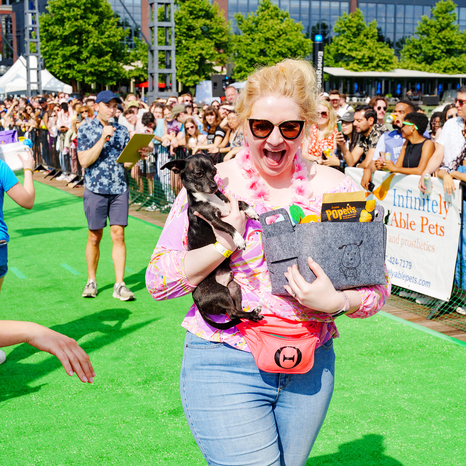Running of the Chihuahuas