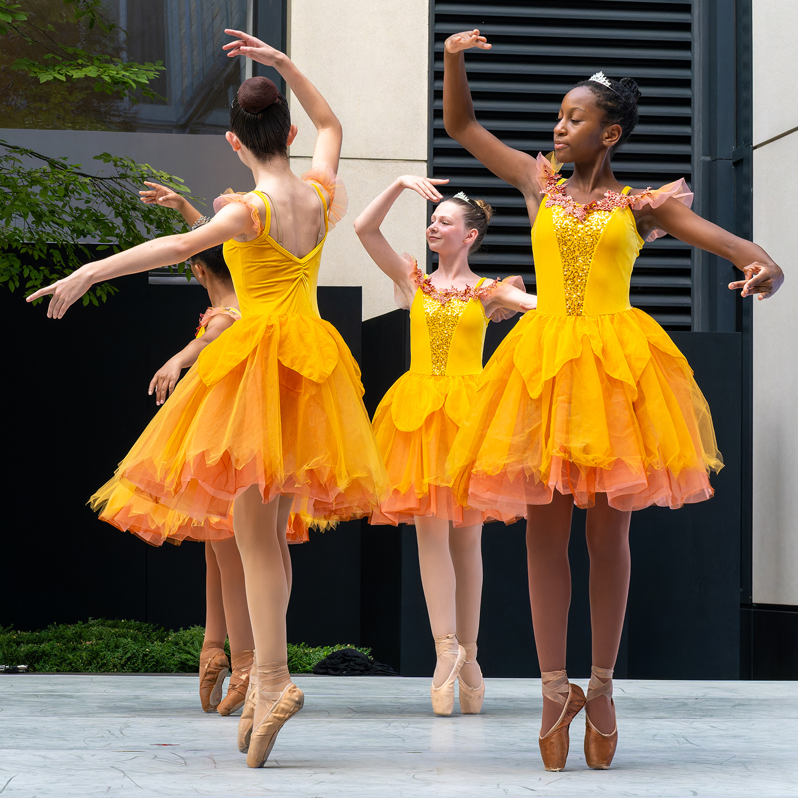 The Washington Ballet