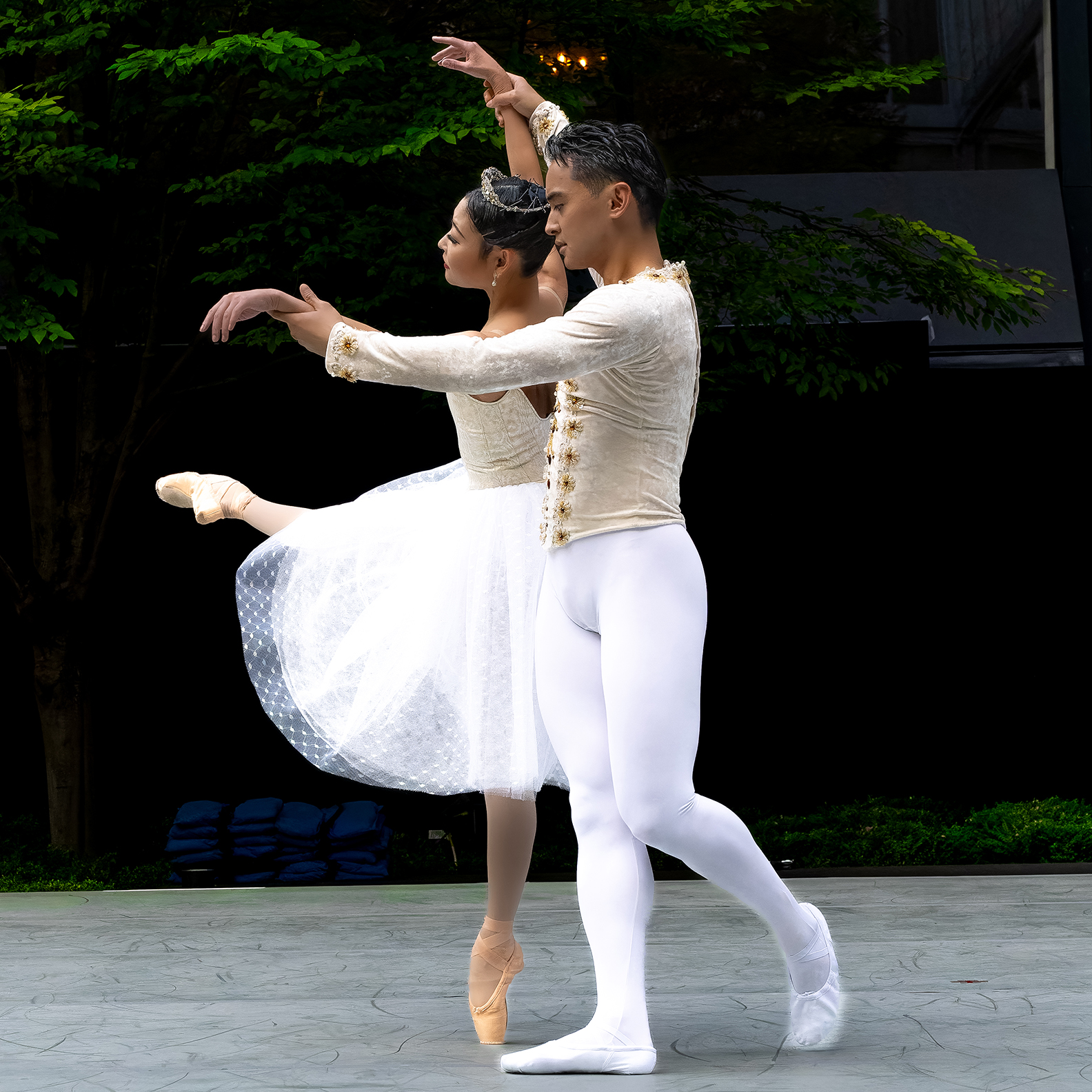 The Washington Ballet