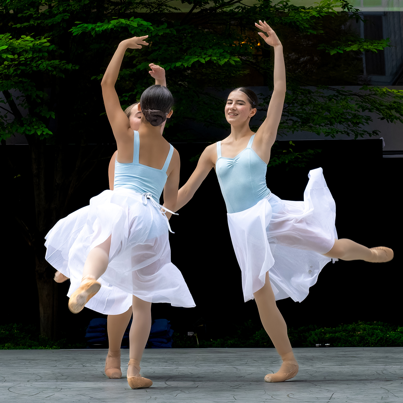 The Washington Ballet