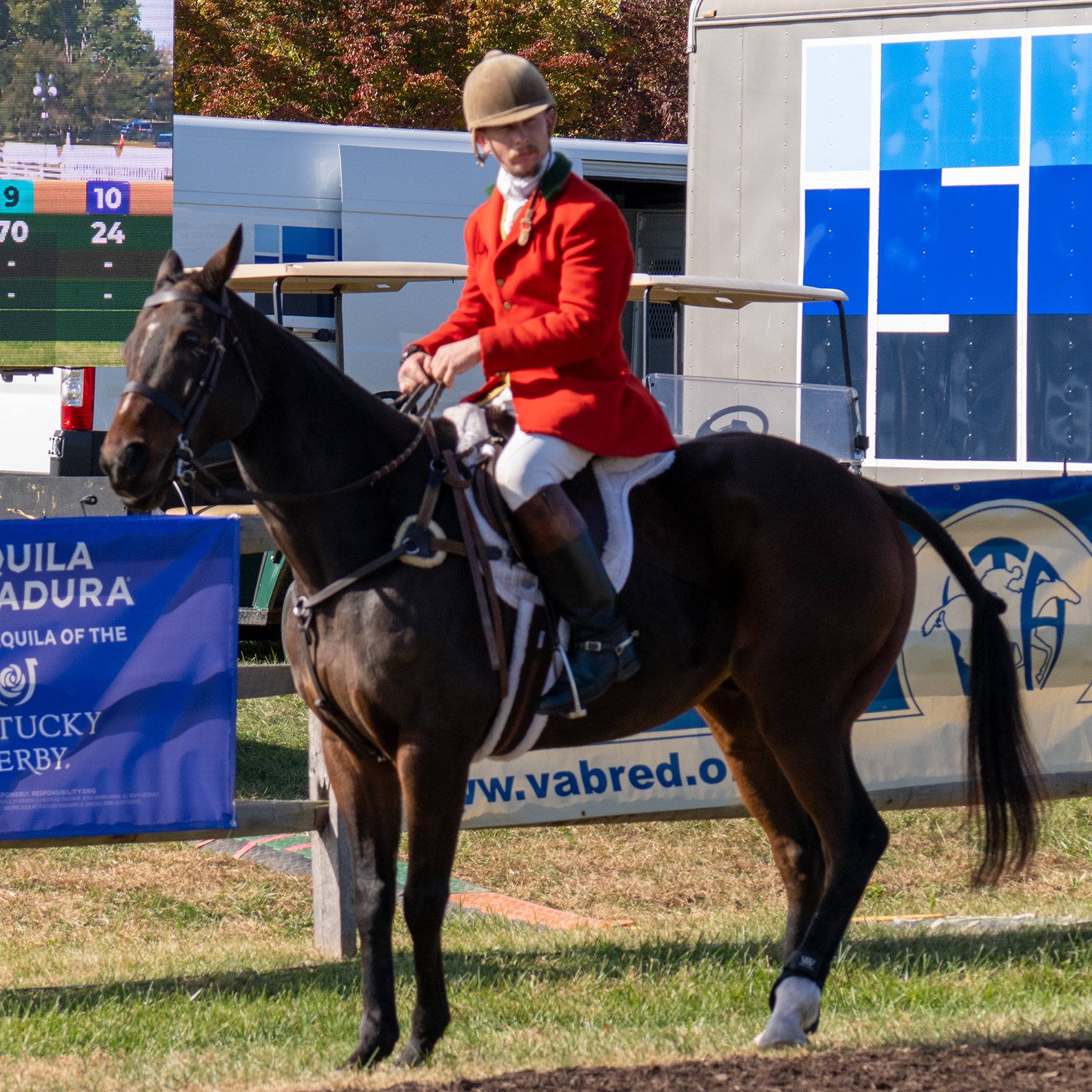 International Gold Cup