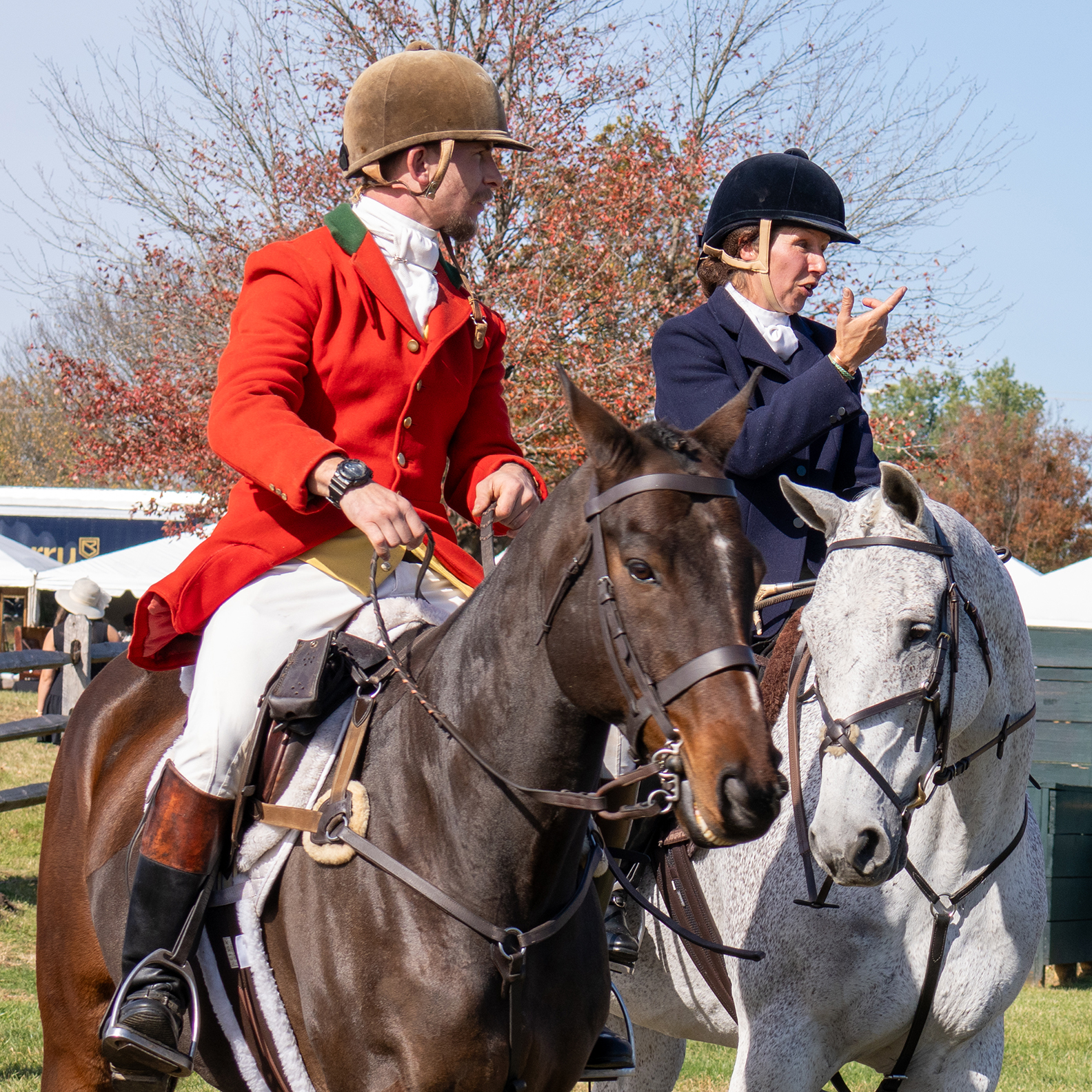 International Gold Cup