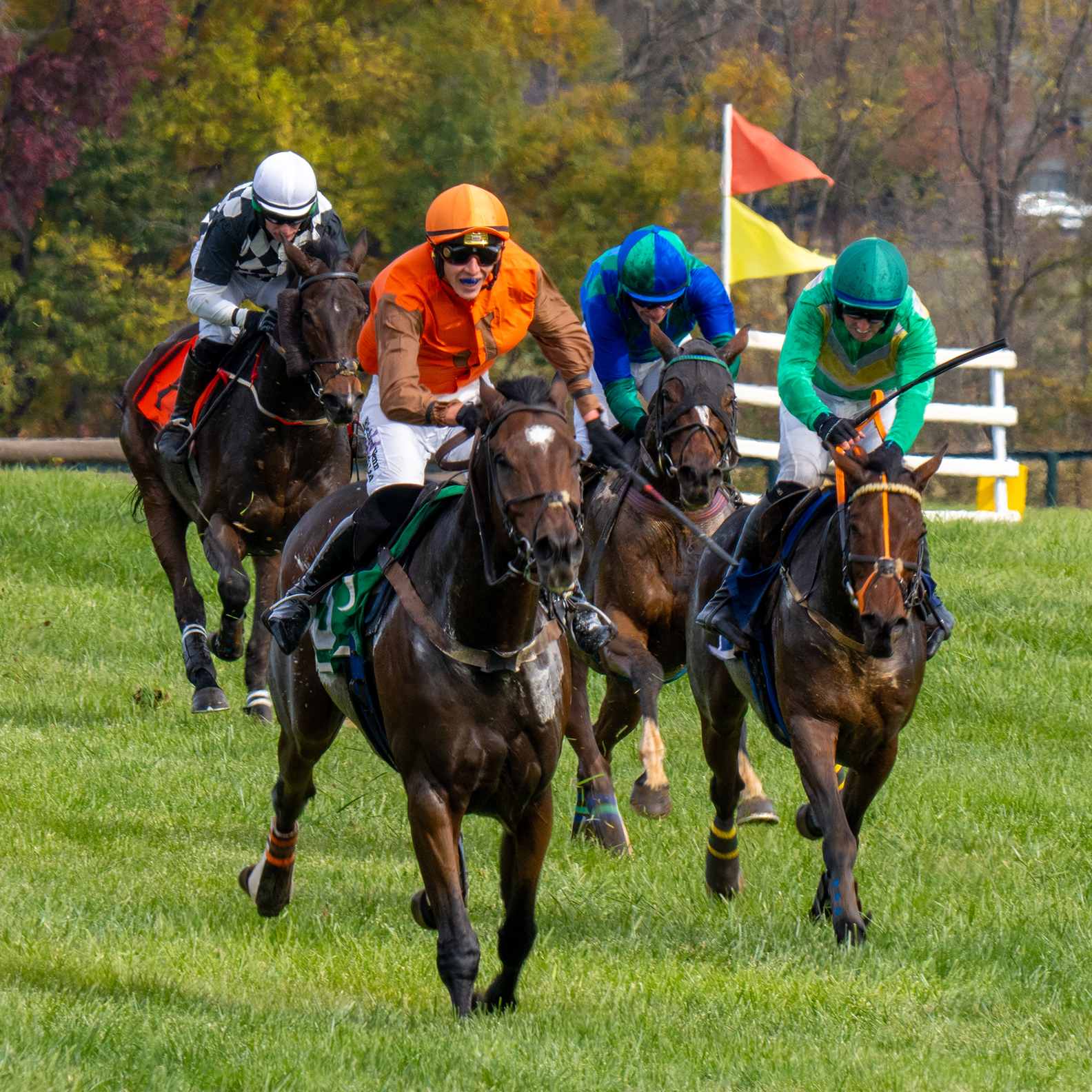 International Gold Cup