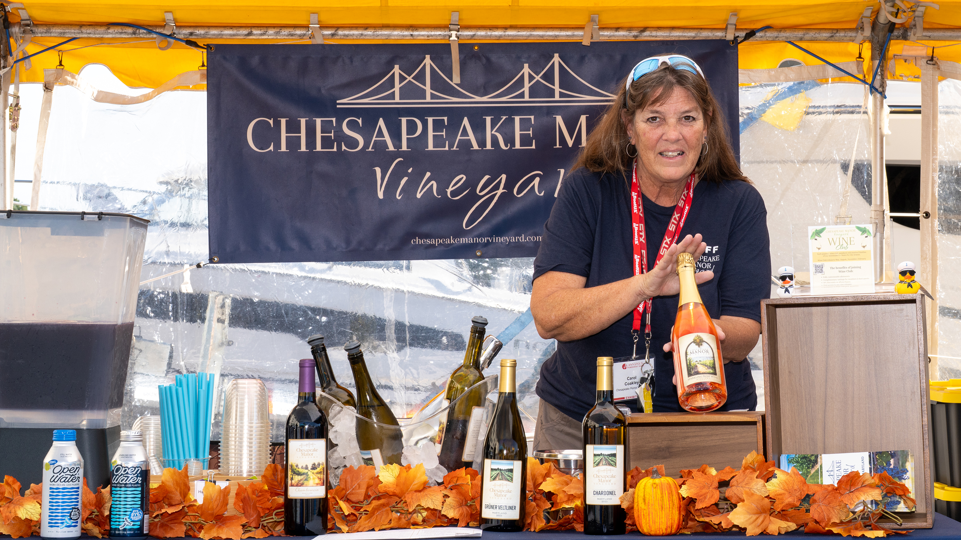 Chesapeake Manor Vineyard