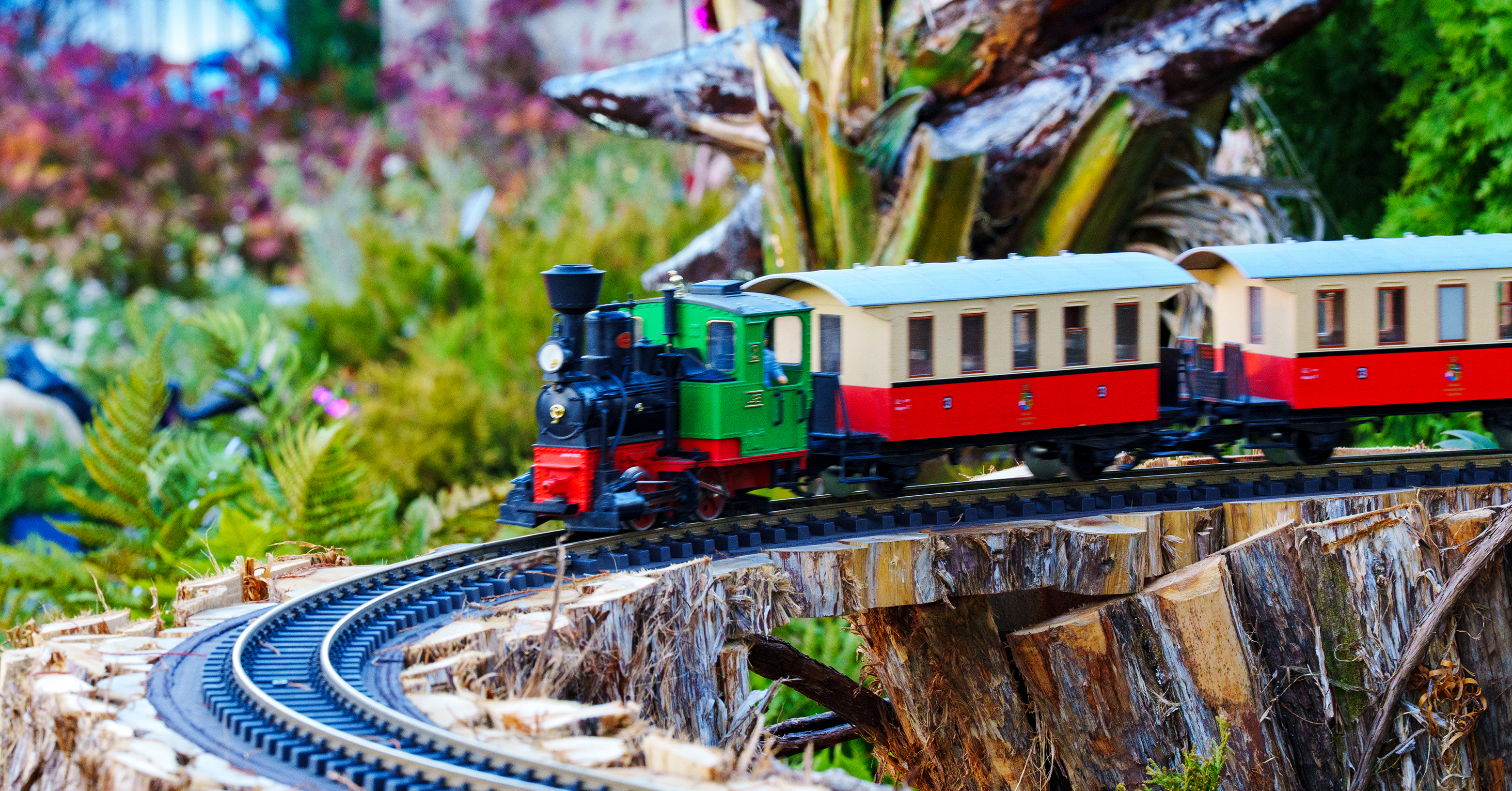 Season's Greenings at Botanic Garden