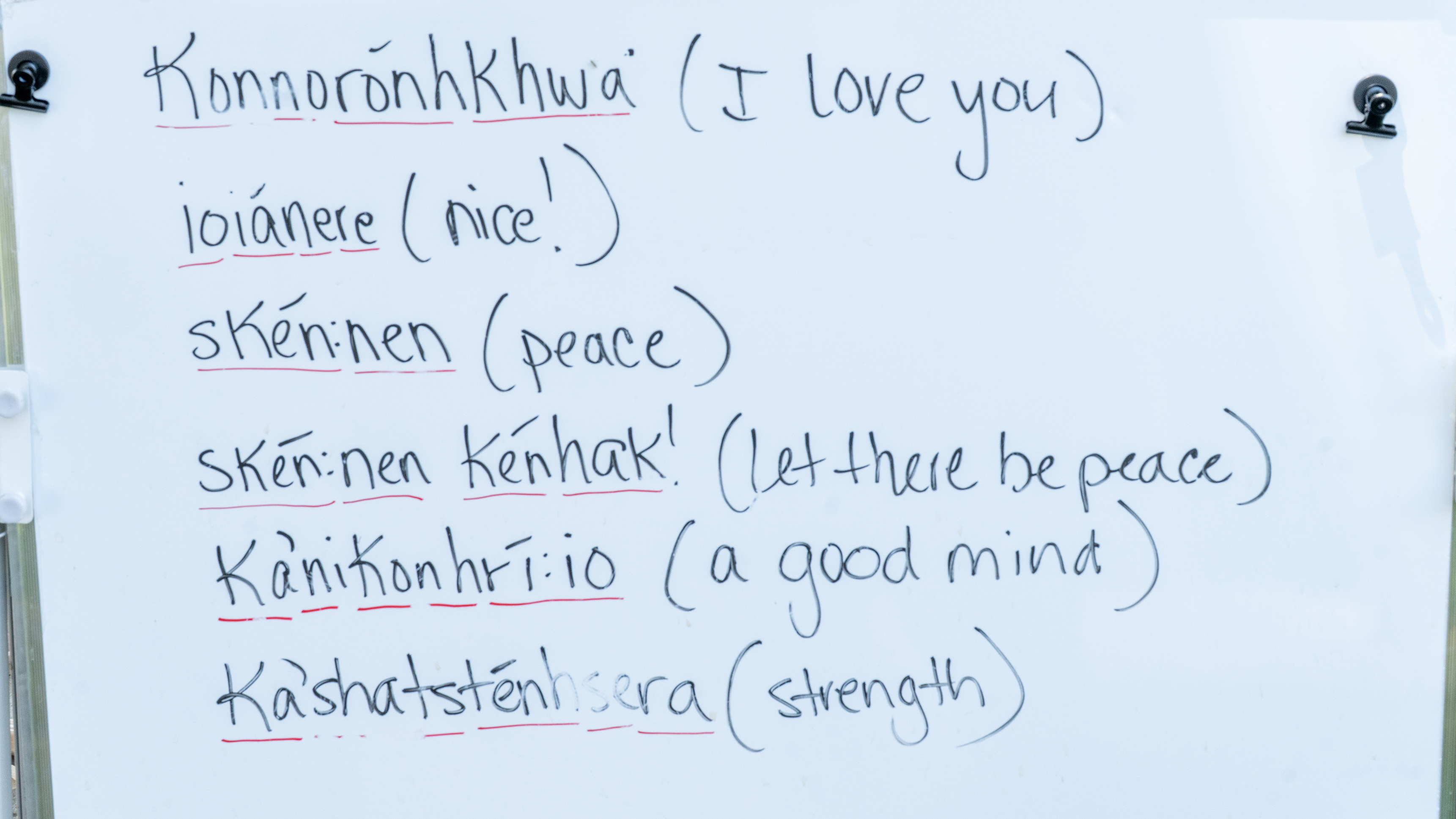 Native Language Reclamation