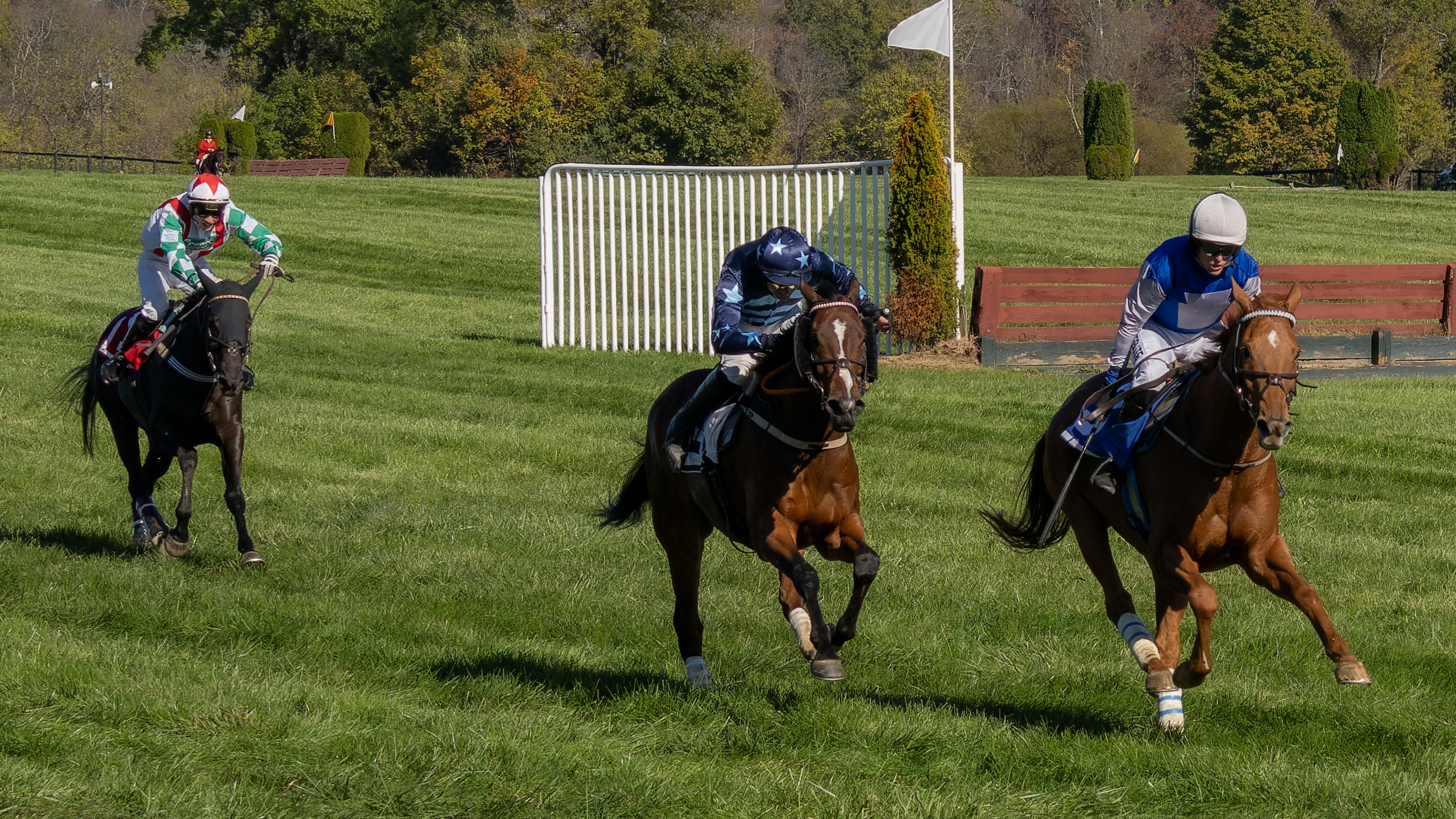 Jockey Harrison Beswick riding Noah And The Ark at International Gold Cup 2026