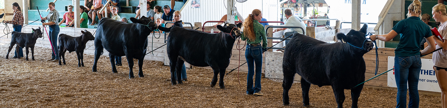 Loudoun County Fair 2025
