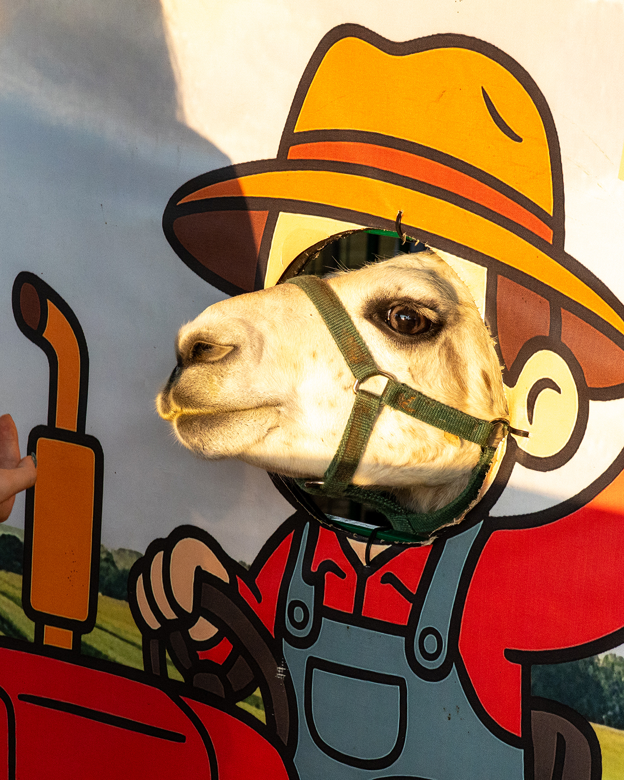 Loudoun County Fair 2025 Map