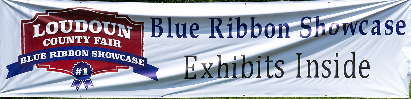 Blue Ribbon Showcase