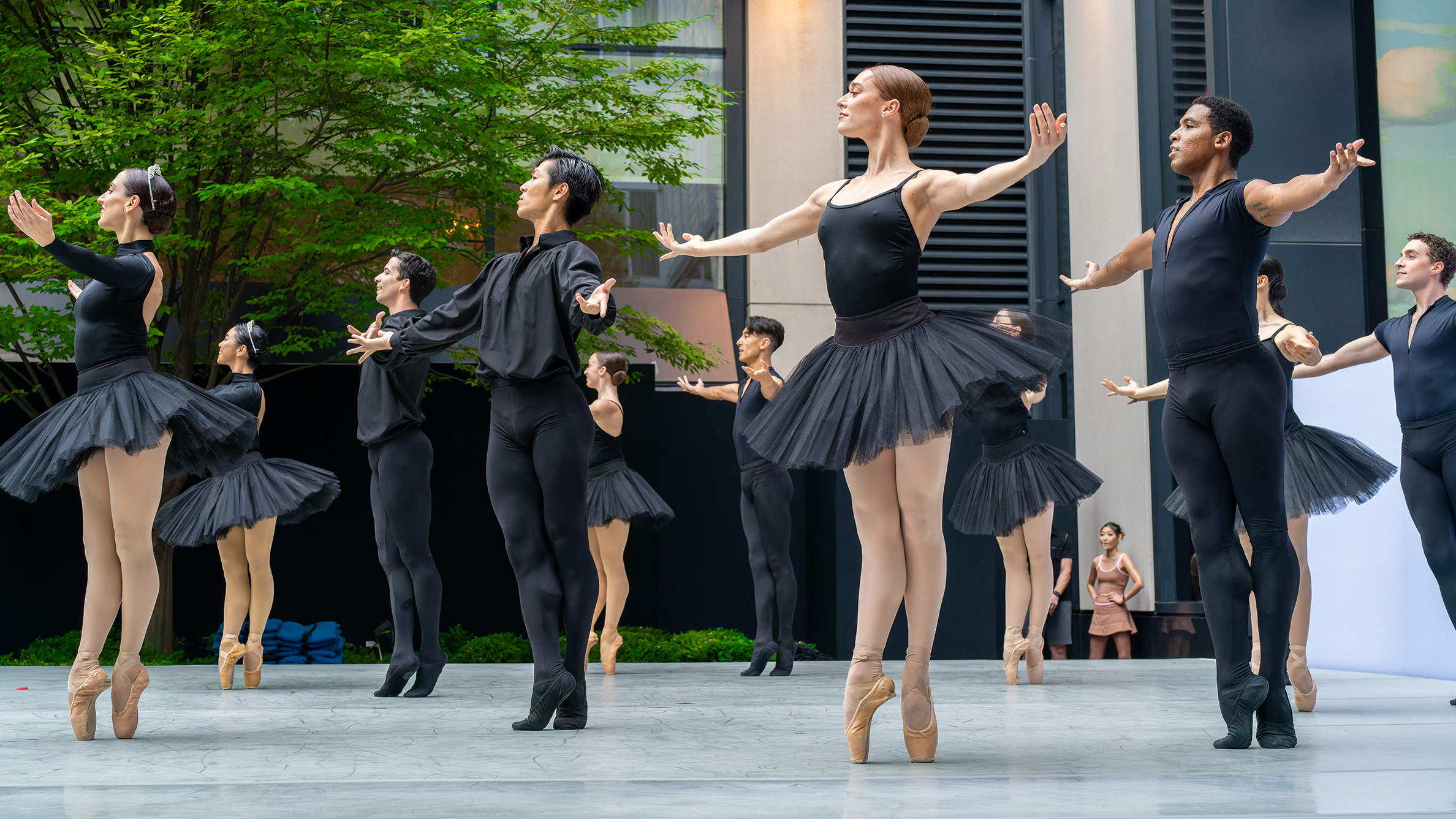 The Washington Ballet
