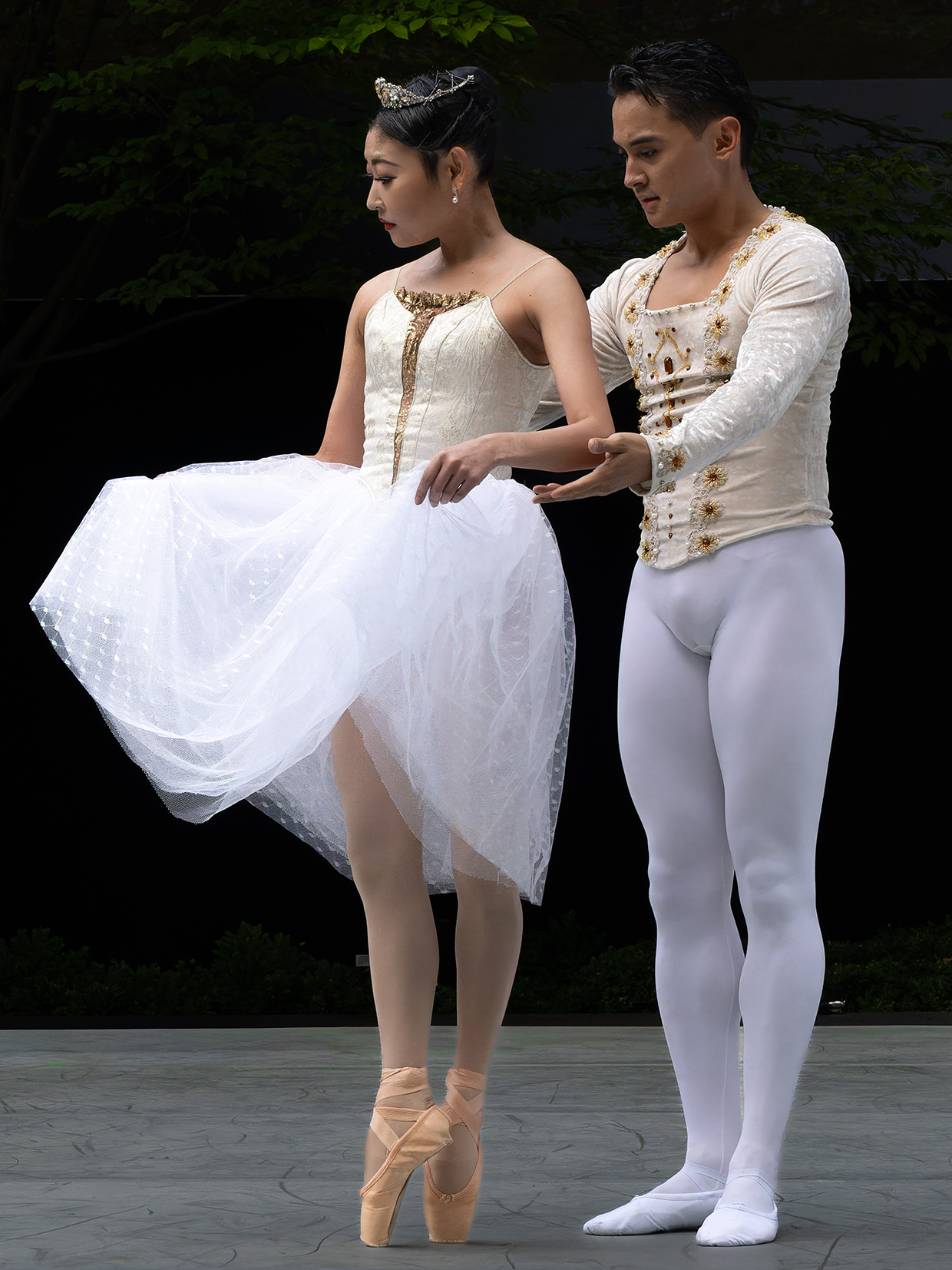 The Washington Ballet