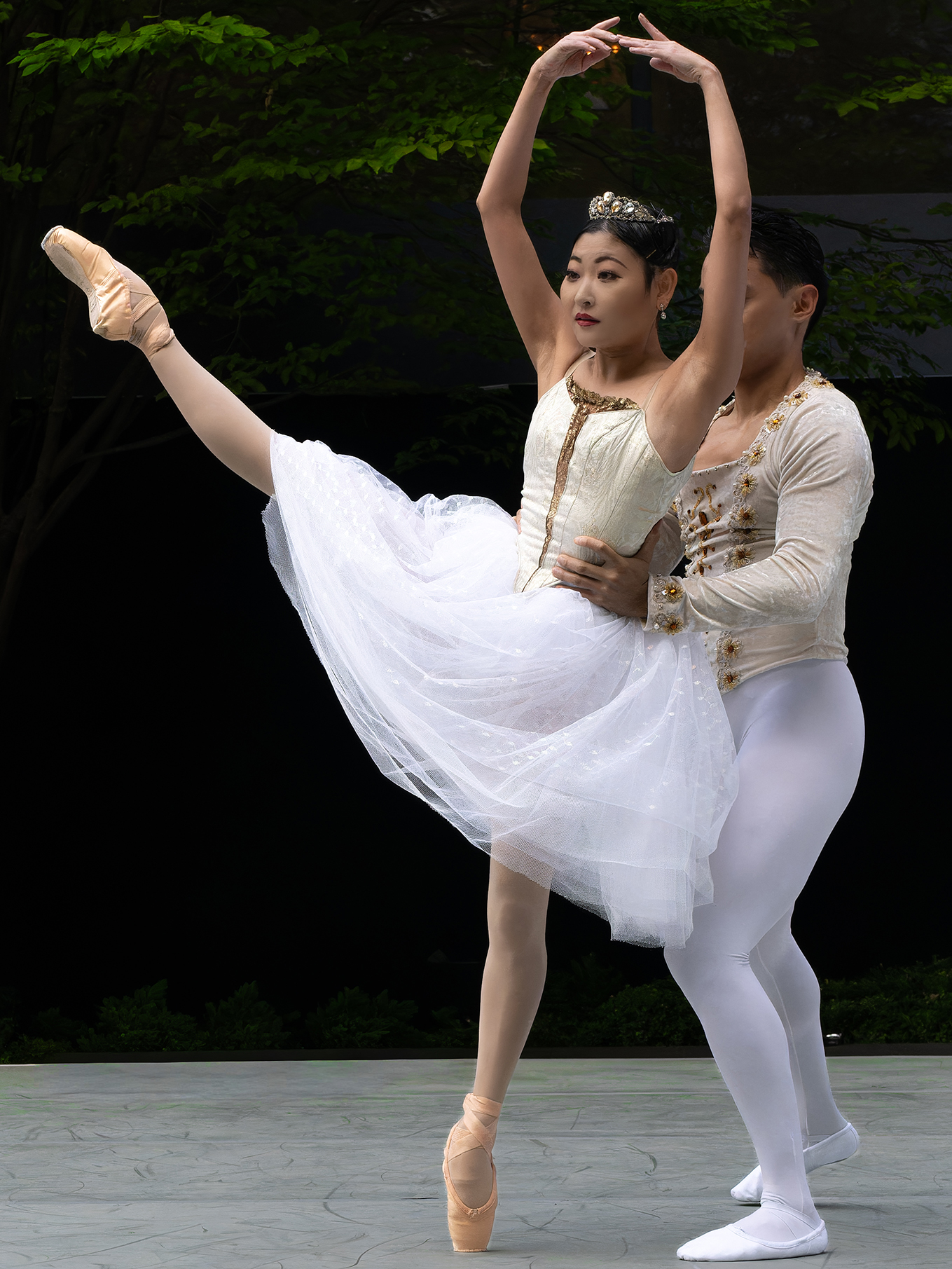 The Washington Ballet