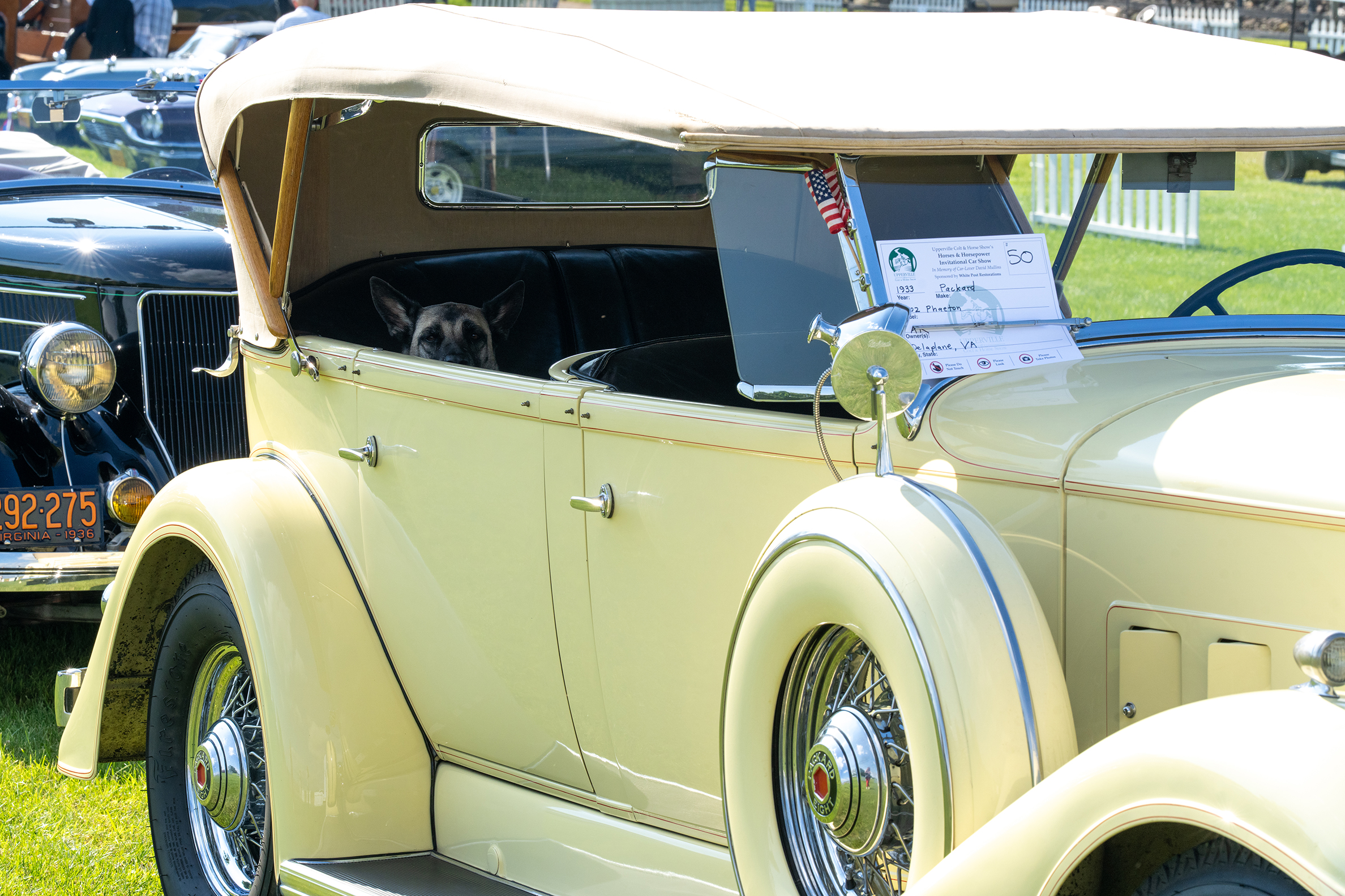 Horses & Horsepower show at Upperville