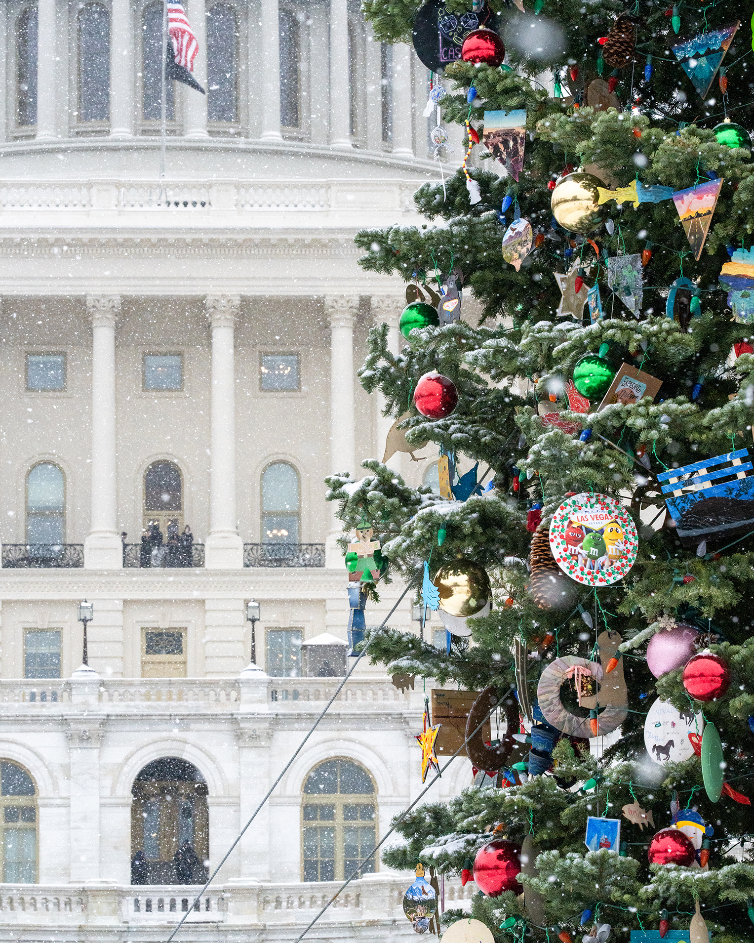 US Capitol Christmas Tree Silver Belle