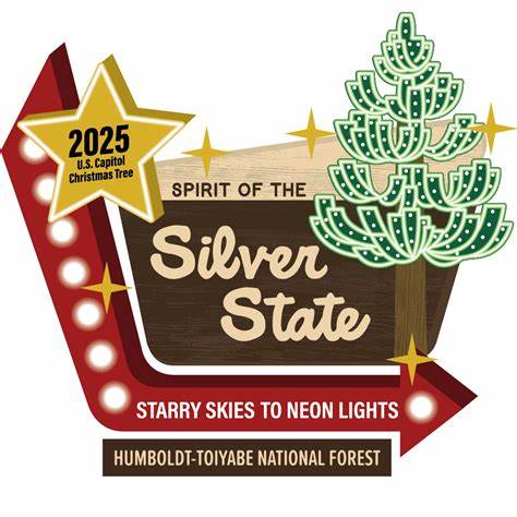 US Capitol Christmas Tree